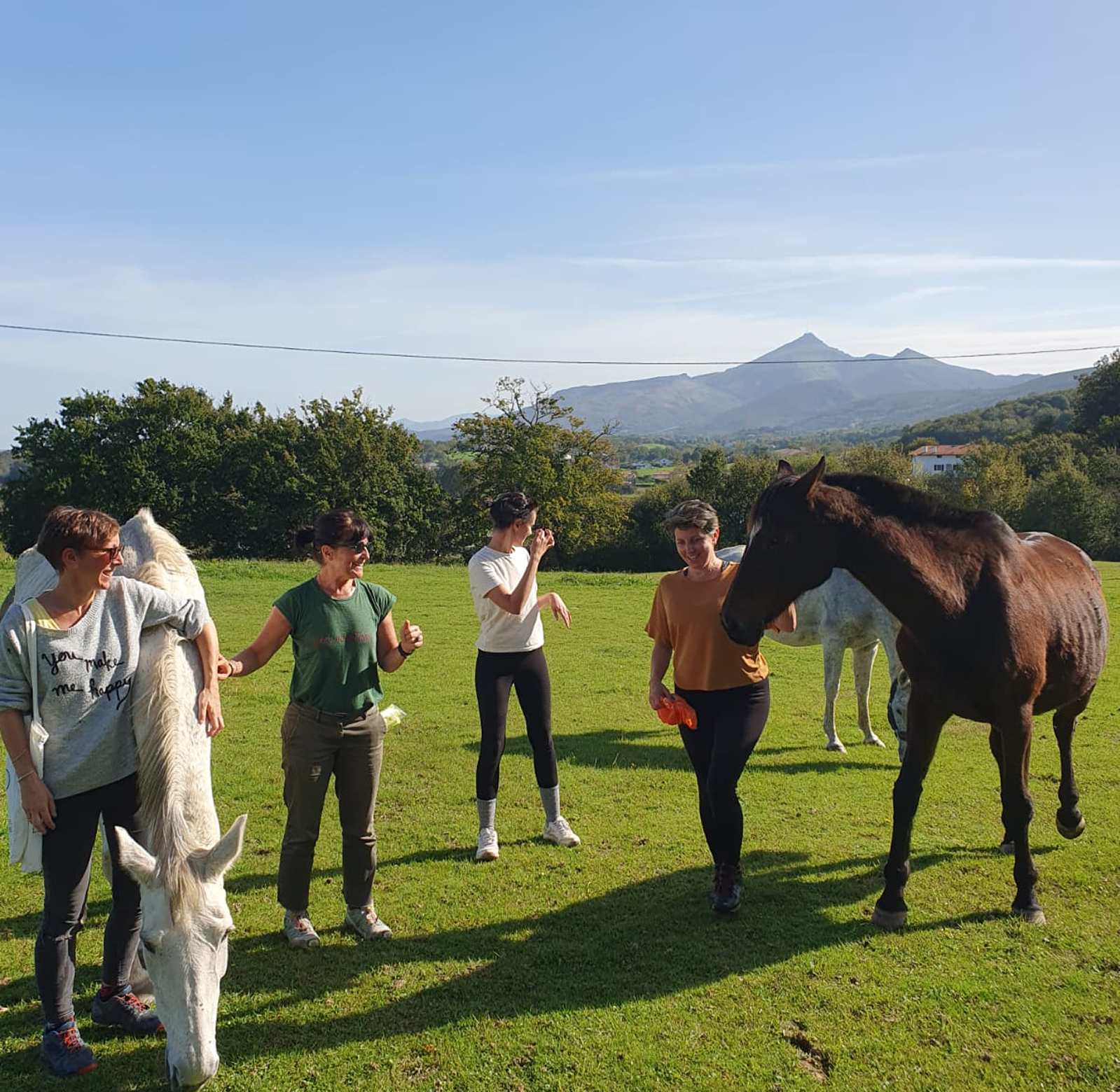 equi