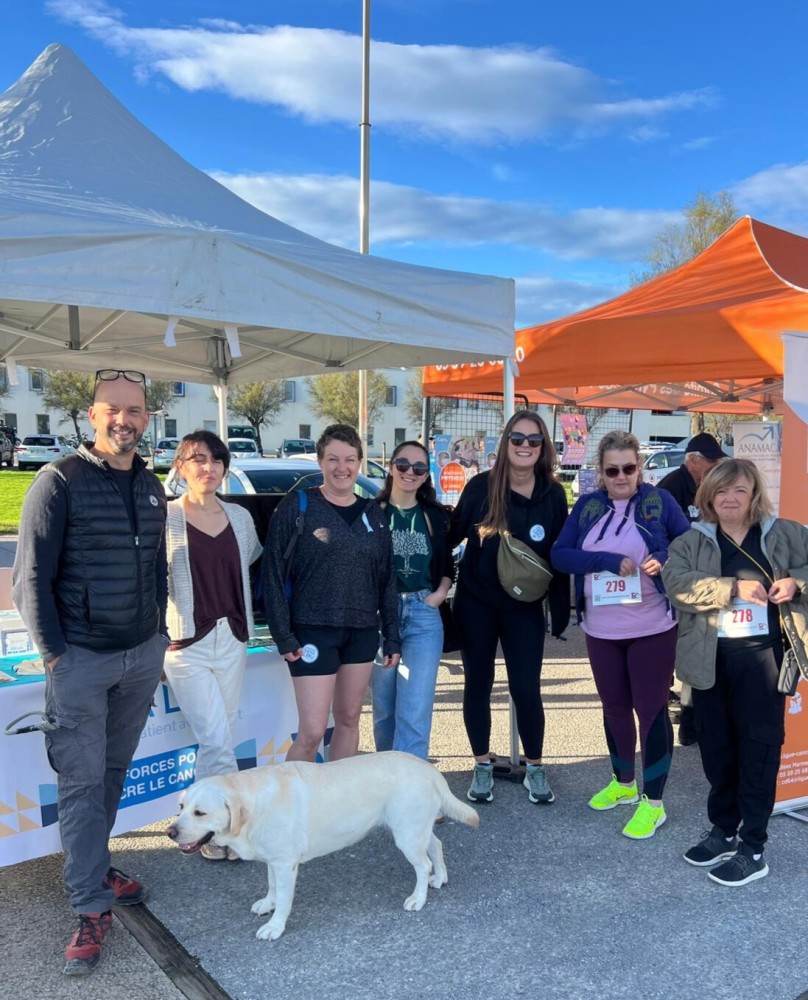 Contenu de l’article